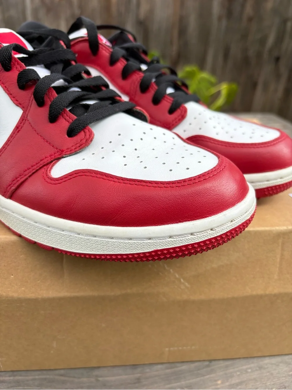 Jordan fantastic like